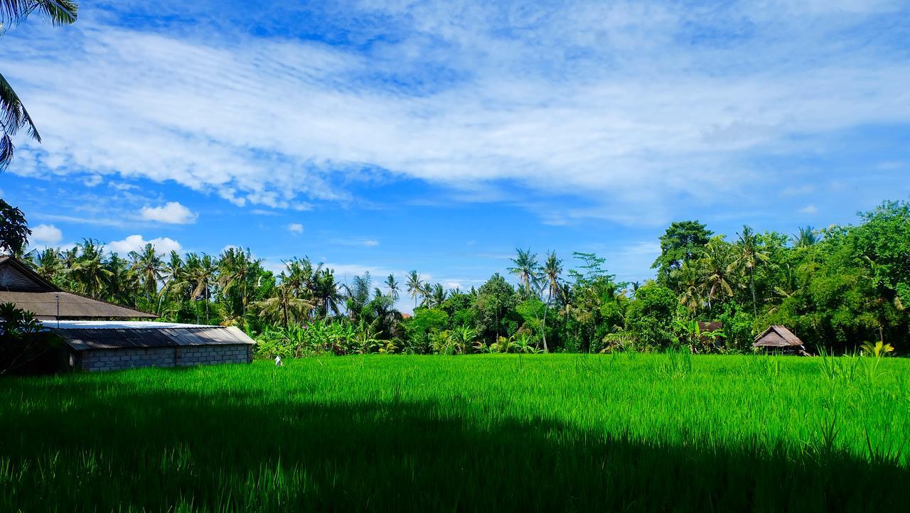 ホテル Wiki Bali ウブド エクステリア 写真